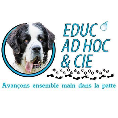 Educ'ad hoc & Cie
